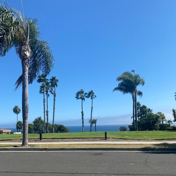 Meet your Posher, Kennedy - Picture 2 of 4